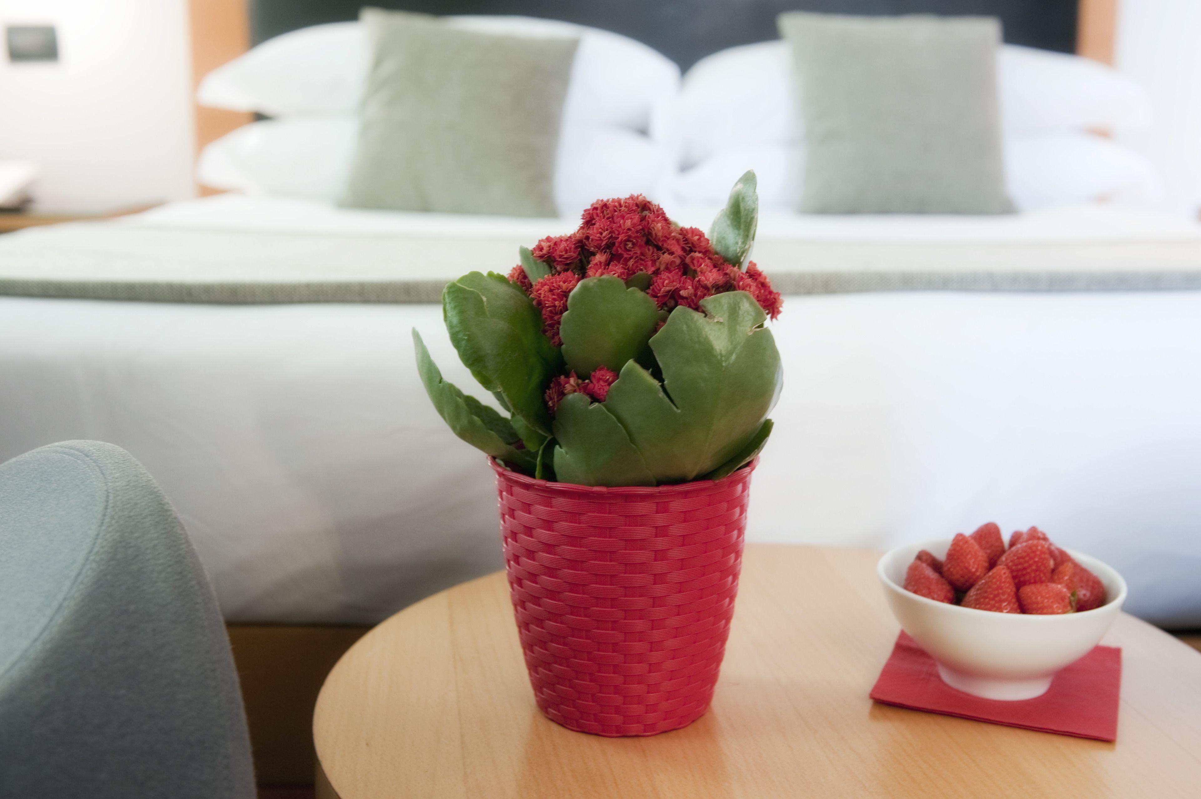 Best Western Ars Hotel — Foto 3